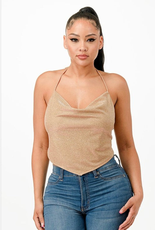 Tied Open Back Glitter Top